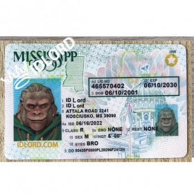 Mississippi scannable card